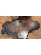 Exceptional Redwood burl Coffee Table